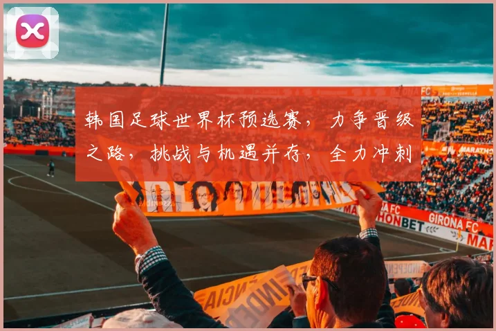 韩国足球世界杯预选赛，力争晋级之路，挑战与机遇并存，全力冲刺
