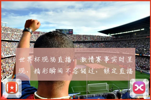 世界杯现场直播，激情赛事实时呈现，精彩瞬间不容错过，锁定直播频道，共赴足球盛宴
