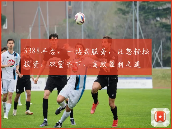 3388平台，一站式服务，让您轻松投资，双管齐下，高效盈利之道